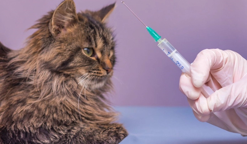 貓疫苗