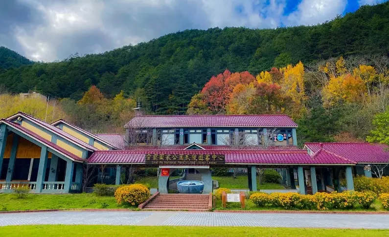 武陵農場櫻花季