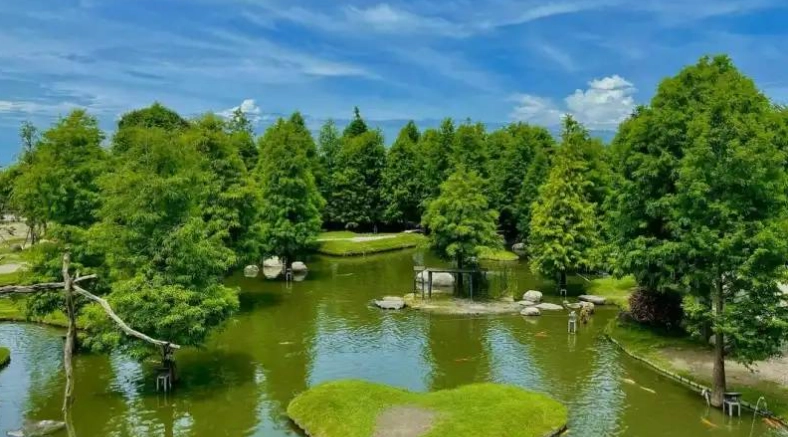 雲林景點一日遊攻略：經典路線、交通美食與避坑指南