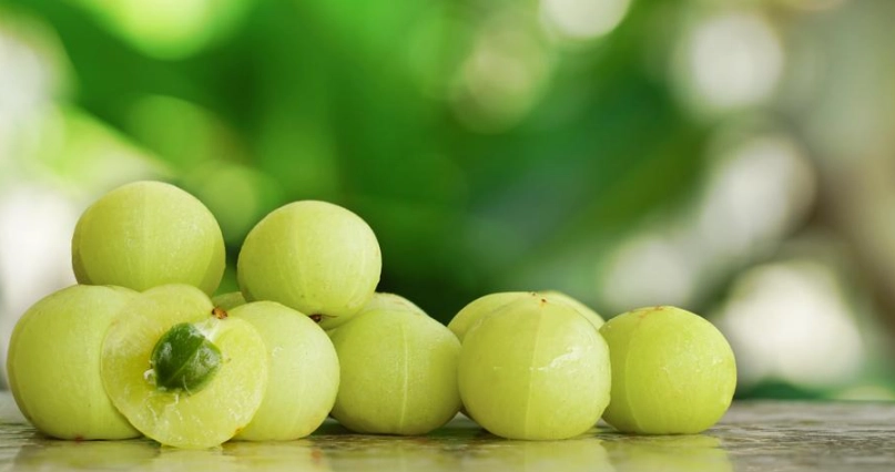 油甘果減肥全攻略：原理、方法與真實經驗分享