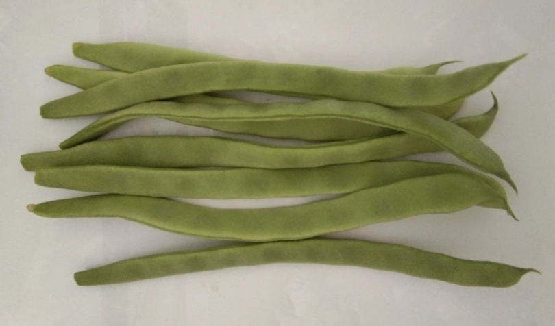 綠扁豆營養