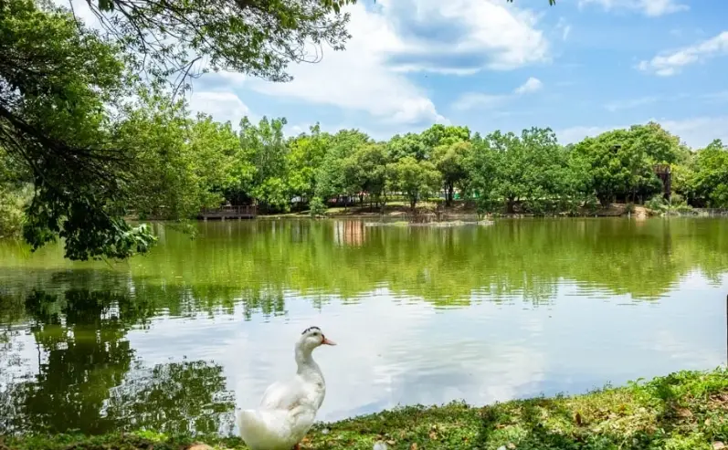 全台一日遊推薦：精選行程規劃與私房景點大公開