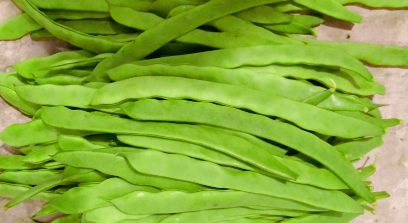 綠扁豆功效全解析：營養價值與健康益處一次看懂