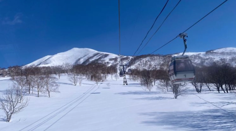 Niseko 早割 チケット