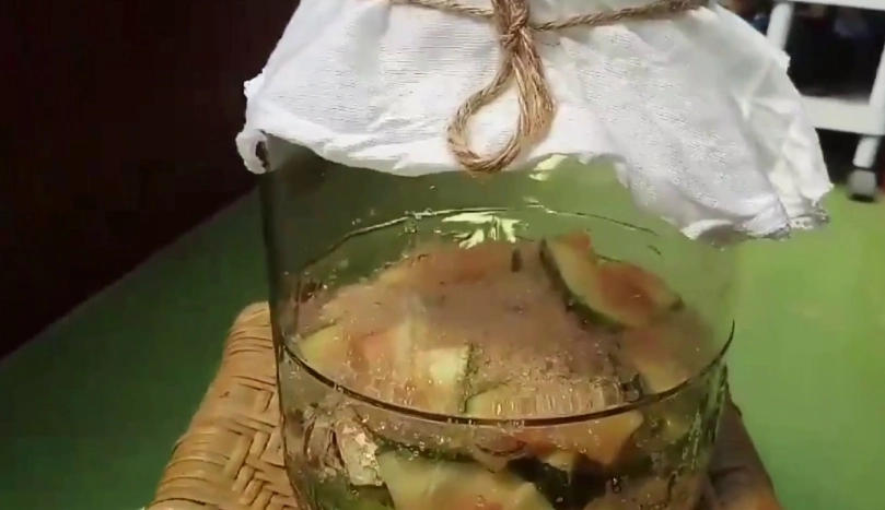 木瓜酵素DIY全攻略：從選材到發酵的完整做法與避坑指南