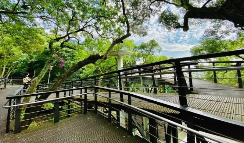 桃園步行景點推薦