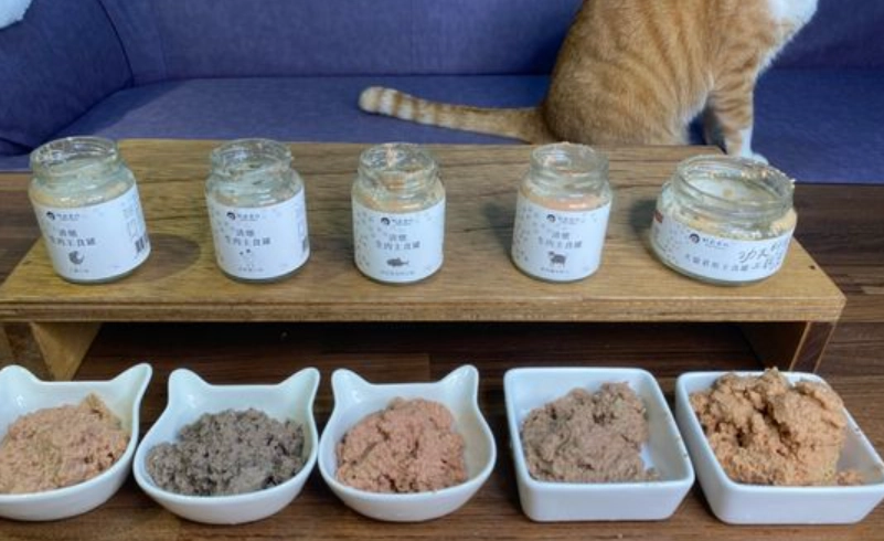 幼貓主食罐頭怎麼挑？獸醫嚴選7大品牌推薦與3大餵食技巧