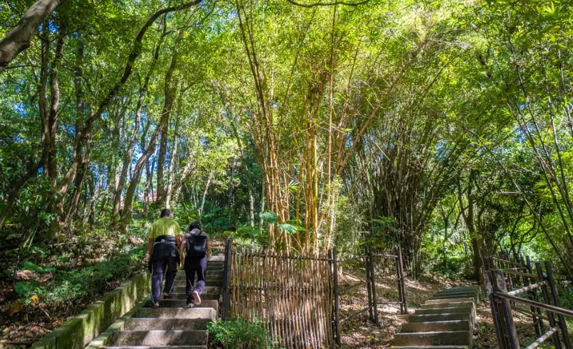 桃園步行景點推薦