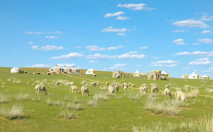 草原沙漠行程