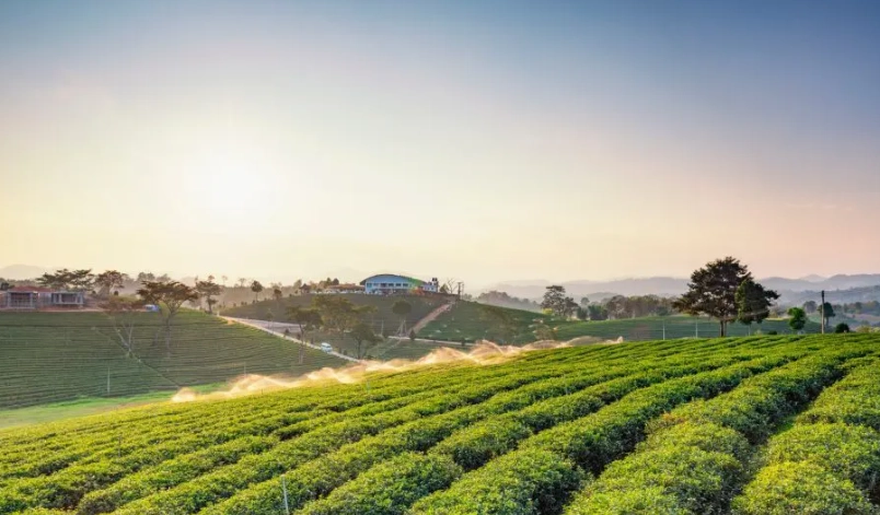 中南部景點推薦：秘境、美食與文化之旅全攻略