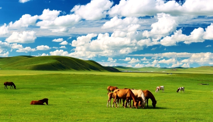 內蒙8日遊行程攻略：草原、沙漠、文化8天深度體驗