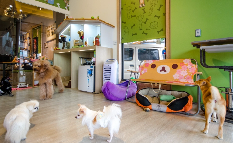 台中寵物住宿價格