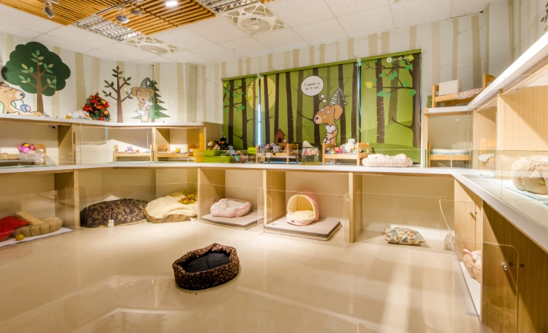 台中寵物旅館推薦指南：10年經驗獸醫教你挑選安心寄宿的5大關鍵