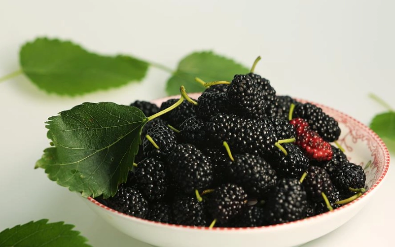 桑葚副作用全解析：食用前必知的健康風險與注意事項