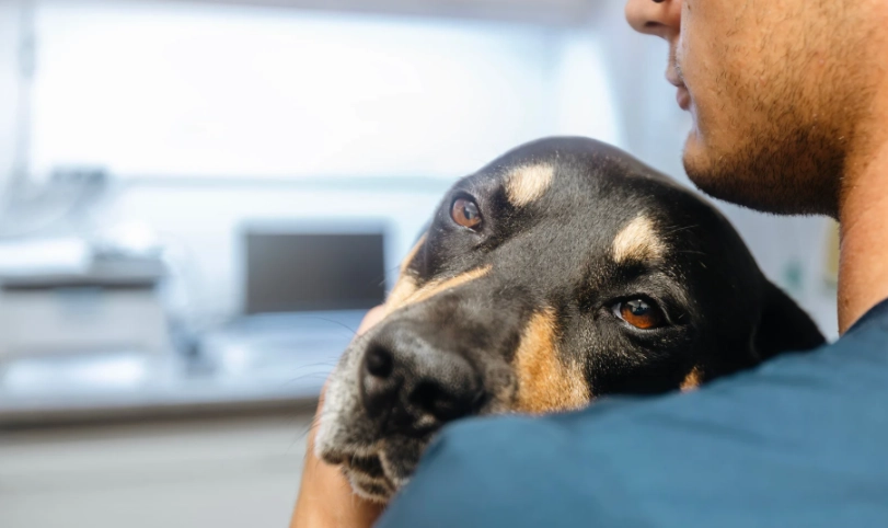 胰臟炎檢測方法