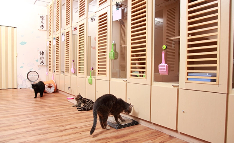 台中寵物旅館推薦