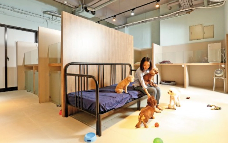 寵物旅館台中24小時