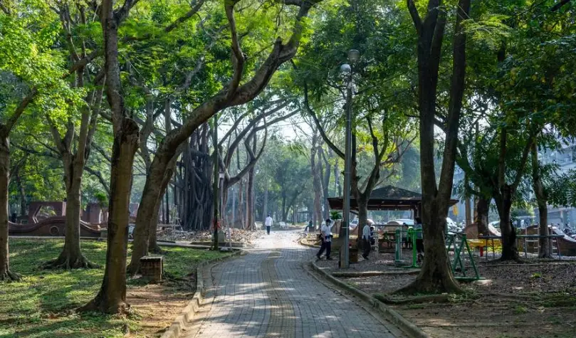 嘉義旅遊套裝行程