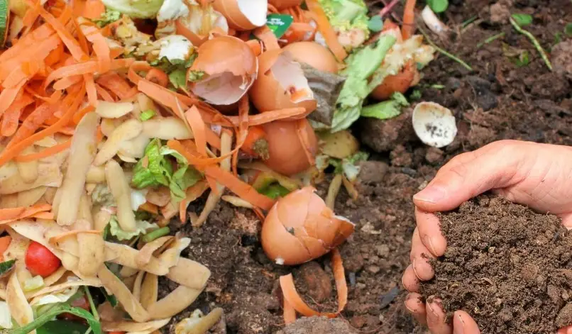 廚餘堆肥