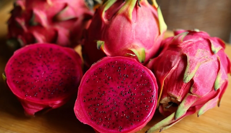 紅肉火龍果染色全攻略：從染布到創意應用，一次解決你的所有疑問