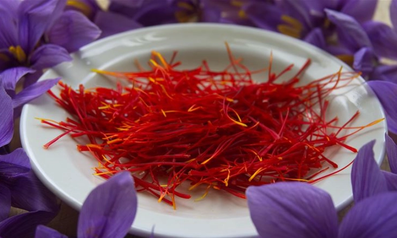 番紅花禁忌全攻略：食用、泡茶、副作用一次搞懂