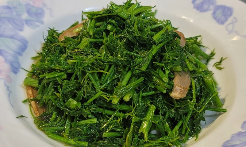 茴香食譜全攻略：從挑選保存到經典料理一次學會