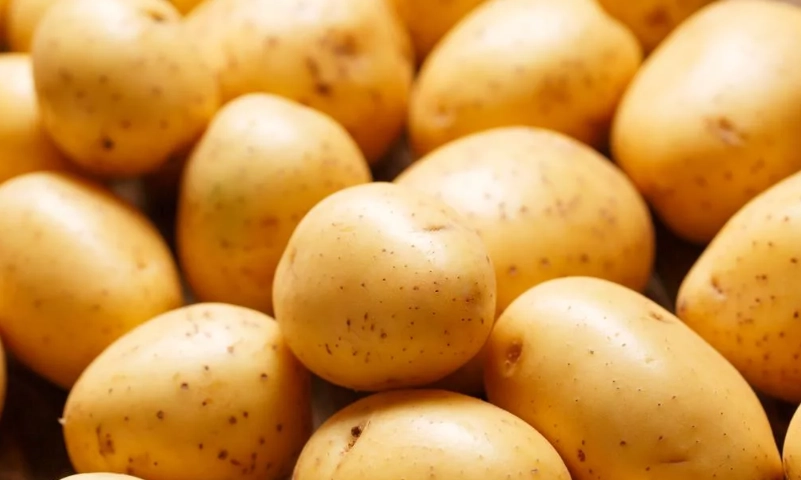 薯仔營養價值全攻略：從成分到健康益處的深度解析