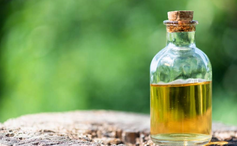 茶籽油壞處全解析：專家揭露潛在風險與使用禁忌