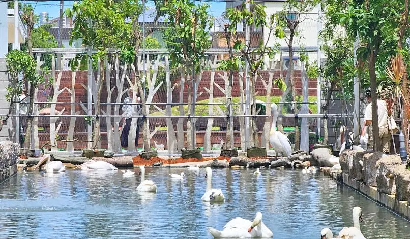 宜蘭室內動物園全攻略：雨天備案、親子景點推薦與完整體驗指南
