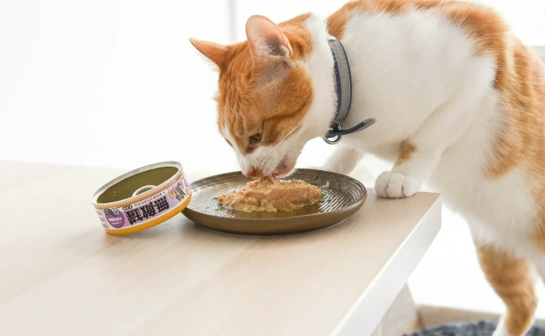 貓濕糧品牌比較