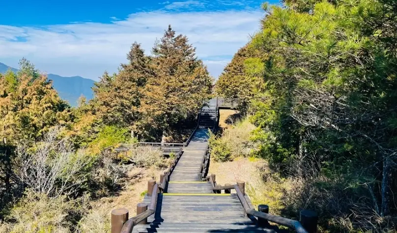 台灣好行觀霧線