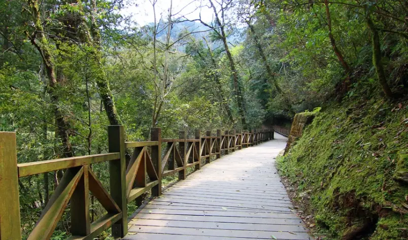 拉拉山國家森林遊樂區怎麼去？自駕、客運路線、路況提醒全攻略