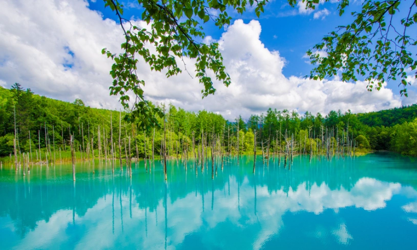 北海道攻略完全制霸：資深玩家教你規劃行程、預算與交通，一次玩透道央道南道東
