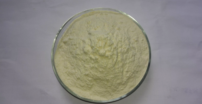 青木瓜粉功效全解析：從挑選到食用的完整指南