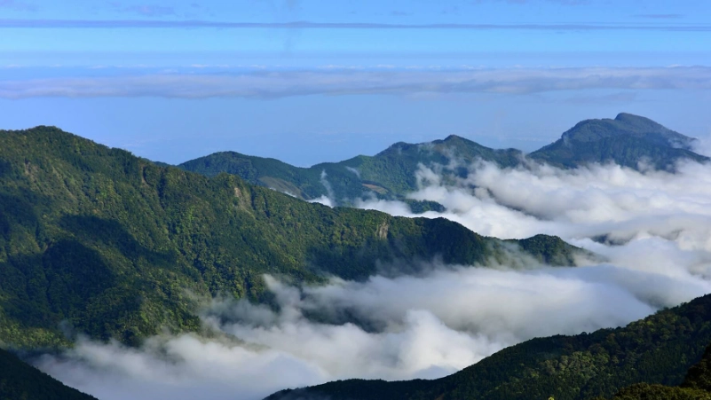台灣好行觀霧一日遊攻略：交通、行程、必看景點全解析
