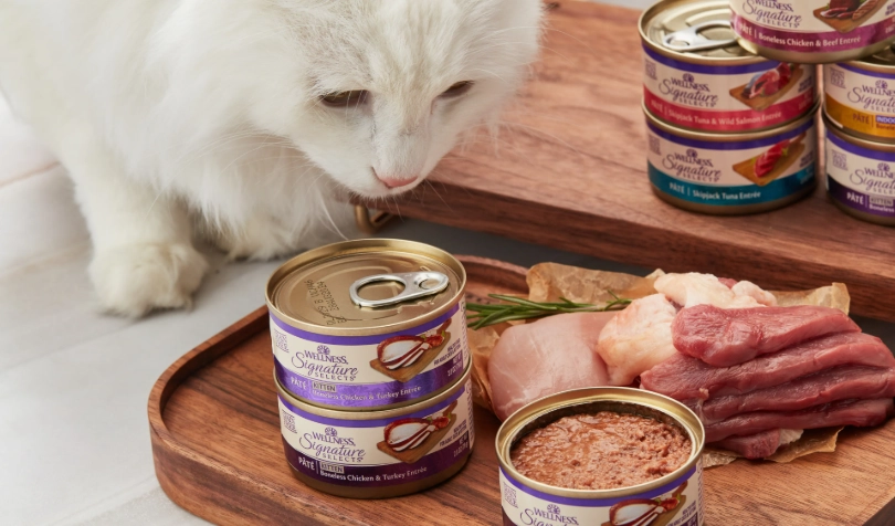 貓濕糧品牌比較