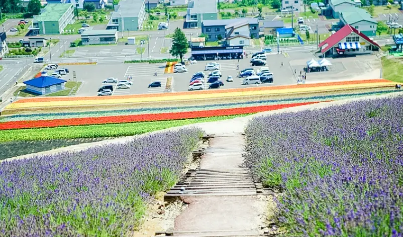 北海道旅遊預算