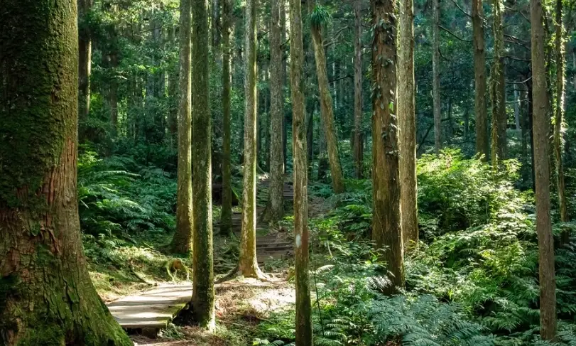 拉拉山爬山時間