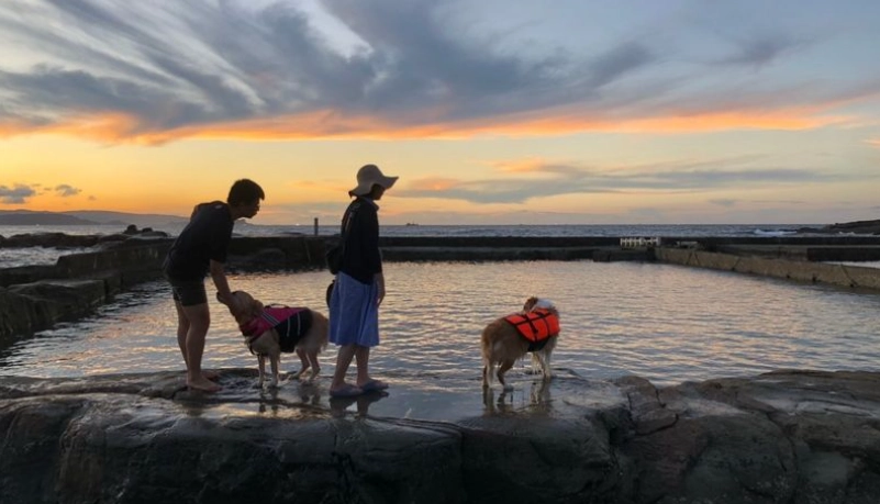 瑞芳寵物友善景點全攻略：山海之間帶毛小孩暢遊的完整指南