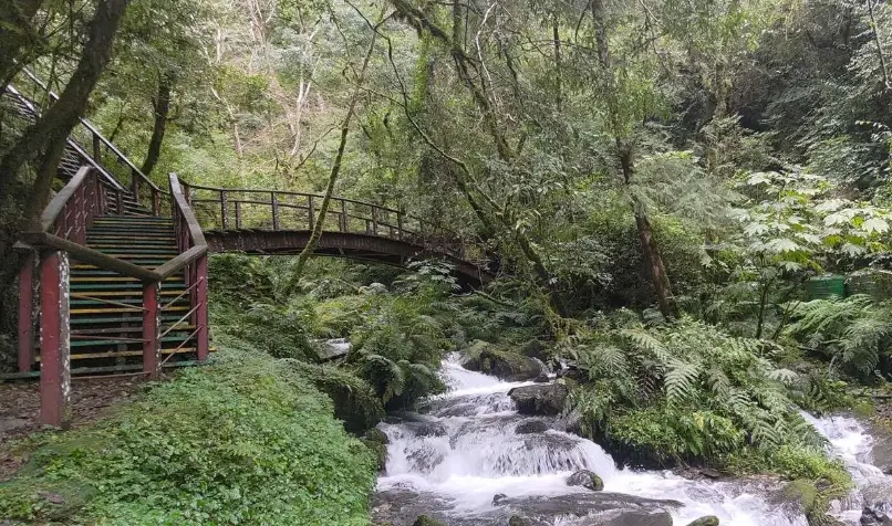 拉拉山要爬多久？完整時間解析與路線規劃攻略