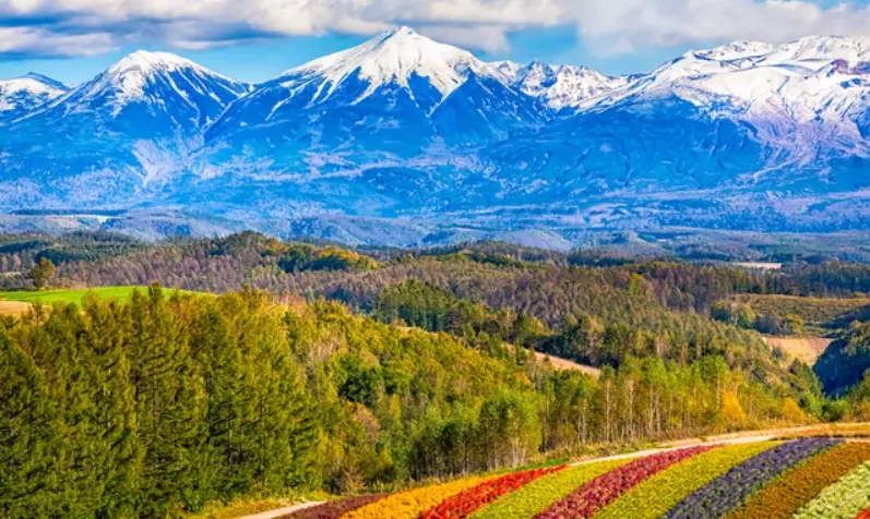 北海道行程規劃