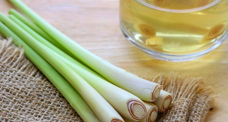 檸檬草精油驅蟲