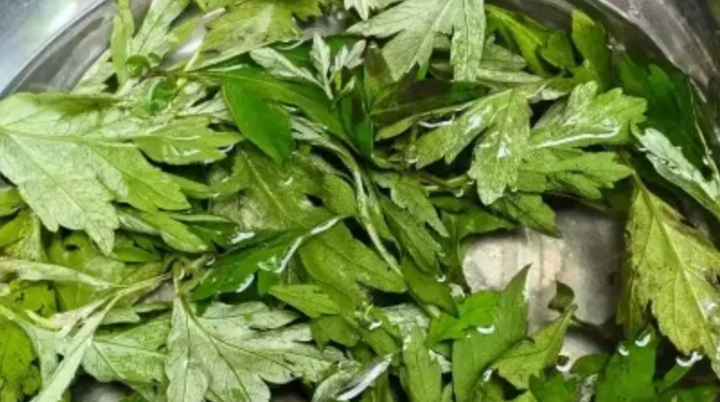 艾草洗頭功效全解析：告別頭皮癢、掉髮的天然解方