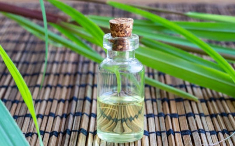 檸檬草精油使用全攻略：驅蟲、舒緩、淨化一次掌握