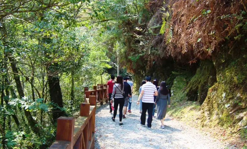 拉拉山國家森林遊樂區 門票