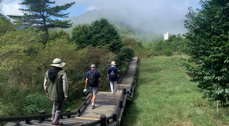 台灣好行觀霧線