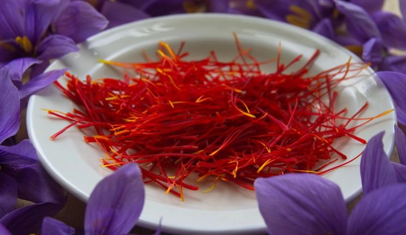 改善循環養生方