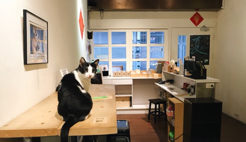 台南 讀書 咖啡廳