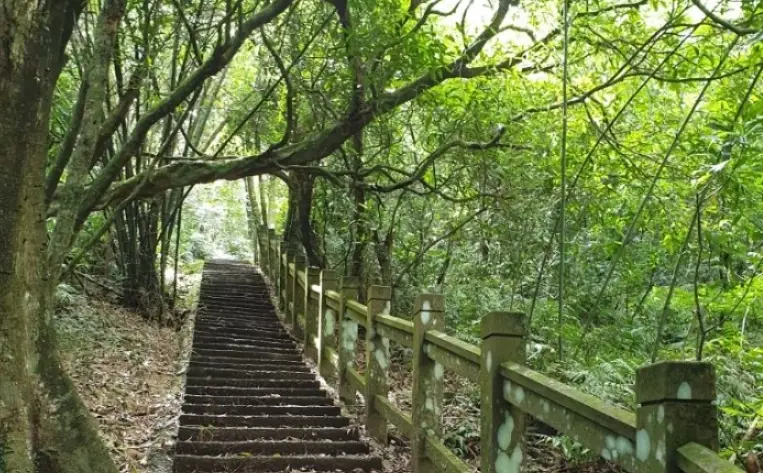 桃源谷步道路線圖全攻略：草嶺線、大溪線、石觀音線怎麼選？