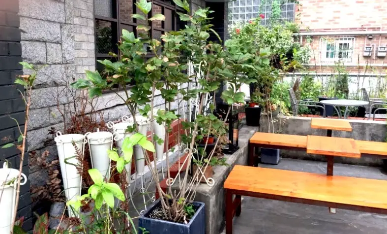 首爾非主流景點